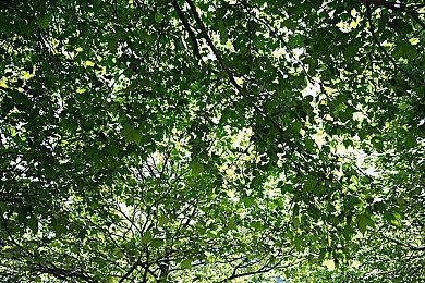 《缺氧》发布“水落食出”更新 添加新工具新蓝图