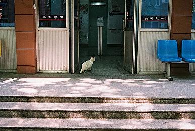 任天堂迷你直面会公布 明晚9点开始