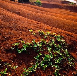 IGN《匹诺曹的谎言》新实机 9月19日发售