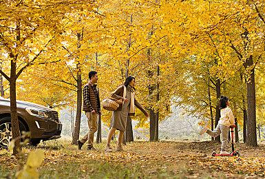 《上古卷轴6》《星空》或有多人模式 招聘启事显端倪